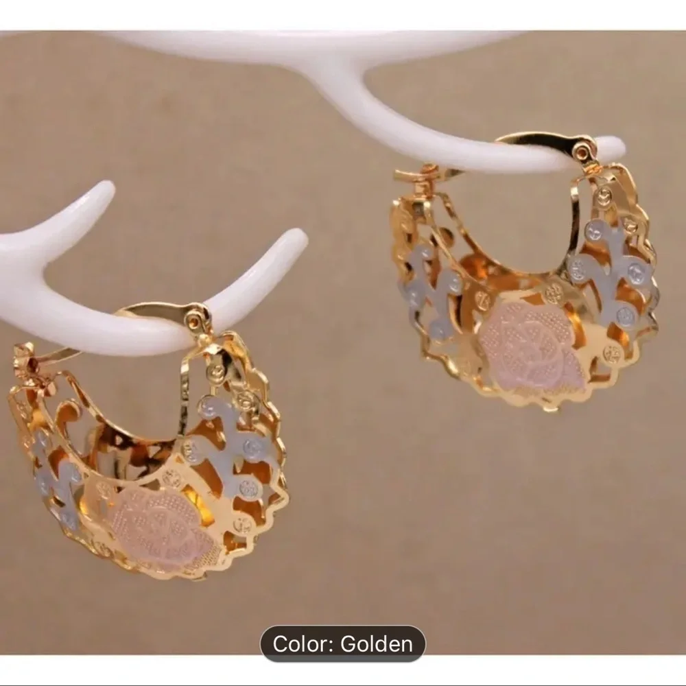 Trendy  Hollow Out Hoop Earrings For Women Stylish Jewelry